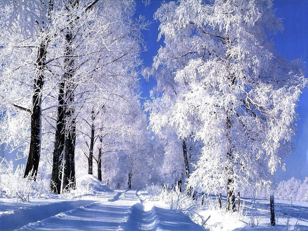 русская зима 
